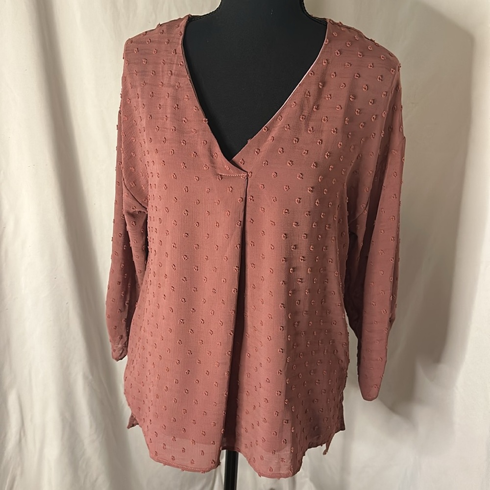 NWOT BEACON APPAREL Shiloh Clipdot Blouse